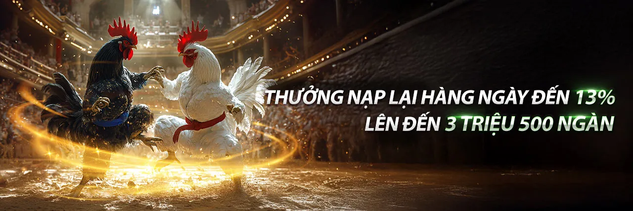 Hình ảnh đại diện trang Điều Khoản Dịch Vụ cro88